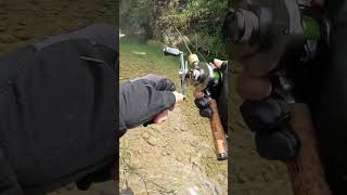 Stream Fishing fishingvideo fishing lurefishing gofishing lure streamfishing daiwa shimano [upl. by Piscatelli423]