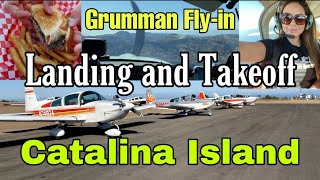 Aviation Catalina Island landing Takeoff Airport KAVX Grumman Tiger AA5B General Aviation [upl. by Ocer]