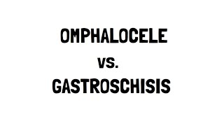 Omphalocele and Gastroschisis [upl. by Anert560]