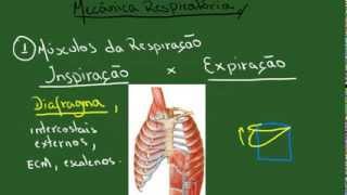 Mecânica Respiratória Complacências  Resumo  Fisiologia [upl. by Reede]