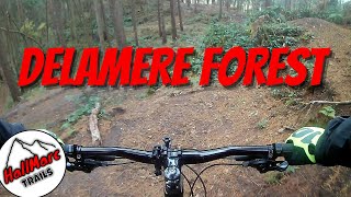 Delamere Forest More Trails MTB 4X Full Edited Version Cheshire uk [upl. by Arenat]