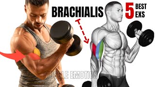 5 BEST BRACHIALIS WORKOUT AT GYM TO GET BIGGER ARMS FAST [upl. by Enrico]