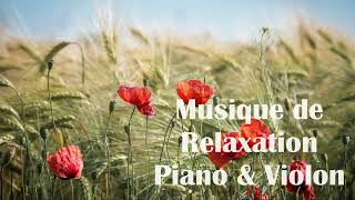 Musique de relaxation Piano et Violon pour relâcher le stress du quotidien [upl. by Aramo796]