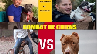 Vidéo 6 Eduquer mon chien extrêmement agressif envers les chiens Eric Tramson [upl. by Onil]