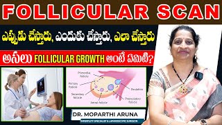 Follicular Monitoring Scan ఎప్పుడు చేస్తారు ఎందుకు చేస్తారు ఎలా చేస్తారు  Dr Aruna Moparthi [upl. by Docila349]