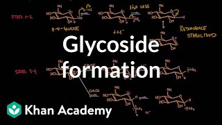 Carbohydrate  Glycoside formation hydrolysis  Chemical processes  MCAT  Khan Academy [upl. by Yhcir]