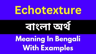 Echotexture meaning in bengaliEchotexture শব্দের বাংলা ভাষায় অর্থ অথবা মানে কি [upl. by Saied]