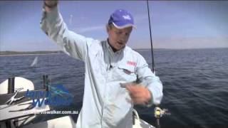 How to Catching baitfish on Sabiki rigs [upl. by Arnaud]