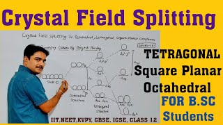 Square Planar Tetragonal Crystal Field Splitting In Coordination chemistrylecture16Class12BSc [upl. by Annawot477]