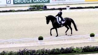 CHIO 2013 Dressage Dressur Prix St Georges [upl. by Stanleigh]