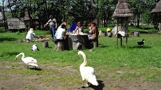 Pastebi besikeičiančius kaimo turizmo mėgėjų pomėgius tik šašlykinės neužtenka [upl. by Ahsenroc265]