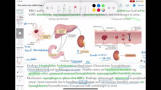 Extravascular hemolysis haematology 44 First Aid USMLE Step 1 in UrduHindi [upl. by Murry]