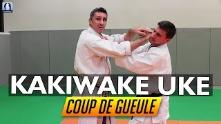 Kakiwake Uke  Karate avec Lionel Froidure [upl. by Ahsa]