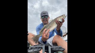 Big Speckled Trout in Beaufort SC [upl. by Anaeirb867]