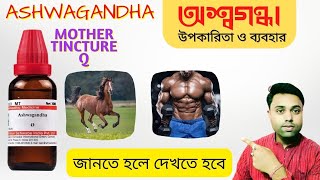 Best Medicine For overall Health ।। Withania Somnifera ।। Ashwagandha Mother Tincture Bangla [upl. by Pat]