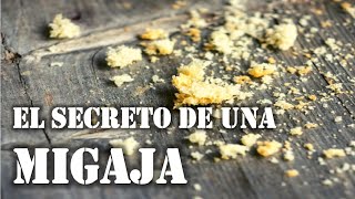 El Secreto de una Migaja  Pastor Christian Jáuregui [upl. by Denice833]