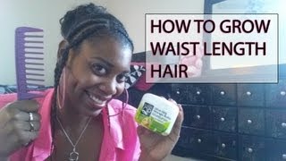 How to Grow Waist Length Hair [upl. by Oilenroc]