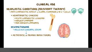 Glucocorticoids Pharmacology [upl. by Spohr]