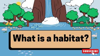 what is a habitat for kids  what is a habitat grade 4  animal habitat project [upl. by Yadsendew]