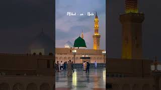 EID MILAD Un NABI ❤️ Status shortvideo status shorts viralshort milad muslim [upl. by Corbet299]