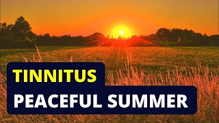 Best Tinnitus Relief Sound Therapy Treatment  Over 1 Hour Of Tinnitus Masking With Crickets [upl. by Helli]