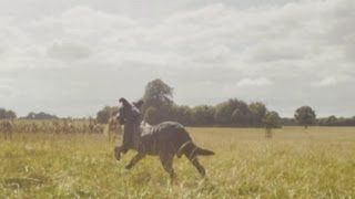 Fenton the Dog video spoofed in HD ad for new 4G network EE [upl. by Esirahs491]