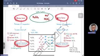 Key Concepts of Carbonic AcidBicarbonate Buffer System [upl. by Esekram]