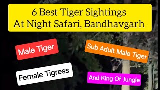 Top 6 Unforgettable Tiger Sightings at Night Safari in Bandhavgarh Buffer Zone Nov2022 [upl. by Richardson]