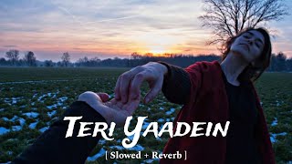 Teri Yaadein  Slowed  Reverb  2024  Urban [upl. by Hgielram696]