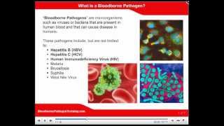 OSHA Bloodborne Pathogen Training Bloodborne Pathogen Video [upl. by Towers]