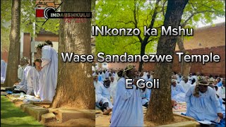 INkonzo ka Mshu Mkhabela wase Sandanezwe Temple  February 2024 [upl. by Enrobyalc68]