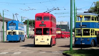 The Trolleybus Museum  The Sandtoft Gathering 2024  10181116 [upl. by Ailehs821]