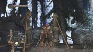 Dark Souls 2  Smooth amp Silky Stone Location and Use [upl. by Neitsabes768]