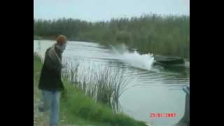 GIANT EEL ATTACKS AND EATS DOG AT SEASIDE  MUST BE WATCH [upl. by Hannahoj]