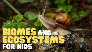 Biomes and Ecosystems for Kids  Learn about the different types of ecosystems and biomes [upl. by Nrek581]