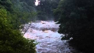 Aysgarth Falls Wensleydale in full flood [upl. by Yllrebmik]