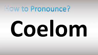 How to Pronounce Coelom [upl. by Darmit578]