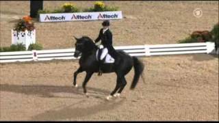 Totilas amp Edward Gal WEG Grand Prix Freestyle [upl. by Malanie809]