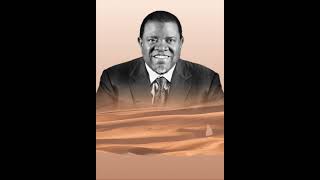 Tribute to our beloved president Dr Hage G Geingob [upl. by Aihsinyt]