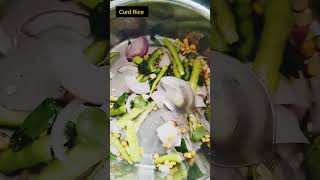 Curd Rice recipe Sizzling Food Healthy food youtubeshorts [upl. by Notgnilra424]