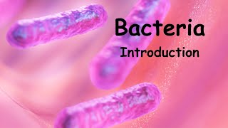 BacteriaIntroductionNEETCUETTGTPGTBScLife Science Classes [upl. by Brocky535]