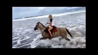 HQ Horseback tour Costa Rica at a Glance by Diego [upl. by Crosby]