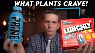 The Truth About Electrolytes PRIME and Lunchly  Doctor Explains [upl. by Standing]