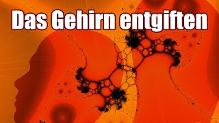 Inuspherese  Entgiftung Wirkung Erfahrungen Kritik  Die PremiumEntgiftung des Gehirns [upl. by Jerald561]