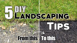 5 Cheap amp Easy DIY Landscaping Tips amp Ideas Plus Bonus Tips 🌱 [upl. by Zobkiw]