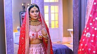 Kundali Bhagya  Hindi TV Serial  Full Episode 1444  Sanjay Gagnani Shakti Shraddha Zee TV [upl. by Leitman]