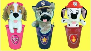 Aprende con juguetes de Paw patrol y los bebés Regalo sorpresa de Ryder Videos para niños [upl. by Kone743]