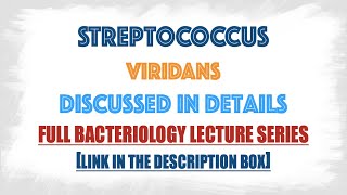 Streptococcus viridans or Viridans Streptococci  clinical manifestationsLab diagnosis [upl. by Ainolloppa]