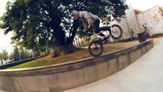 New Best BMX Tricks 5  Kings Of Freestyle  Summer 2013 Edit [upl. by Notlad744]