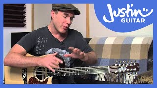 12 String Guitar Tuning Tips amp Tricks on a Maton Messiah Guitar Lesson TE501 [upl. by Chastain833]